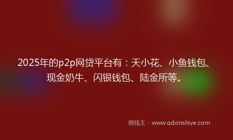 2025年的p2p网贷平台有：天小花、小鱼钱包、现金奶牛、闪银钱包、陆金所等。