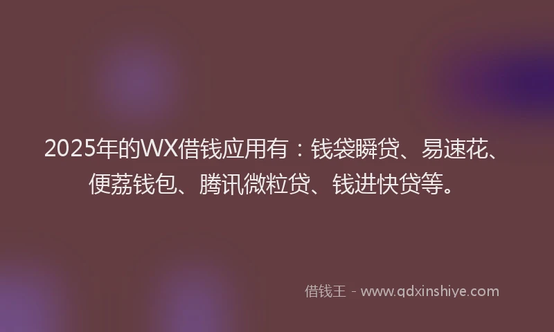 2025年的WX借钱应用有：钱袋瞬贷、易速花、便荔钱包、腾讯微粒贷、钱进快贷等。