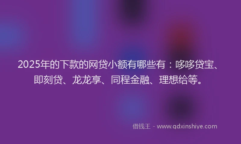 2025年的下款的网贷小额有哪些有：哆哆贷宝、即刻贷、龙龙享、同程金融、理想给等。