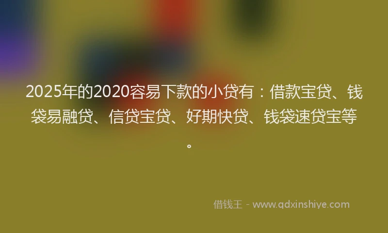 2025年的2020容易下款的小贷有：借款宝贷、钱袋易融贷、信贷宝贷、好期快贷、钱袋速贷宝等。