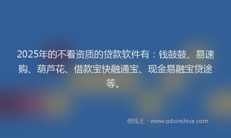 2025年的不看资质的贷款软件有：钱鼓鼓、易速购、葫芦花、借款宝快融通宝、现金易融宝贷途等。
