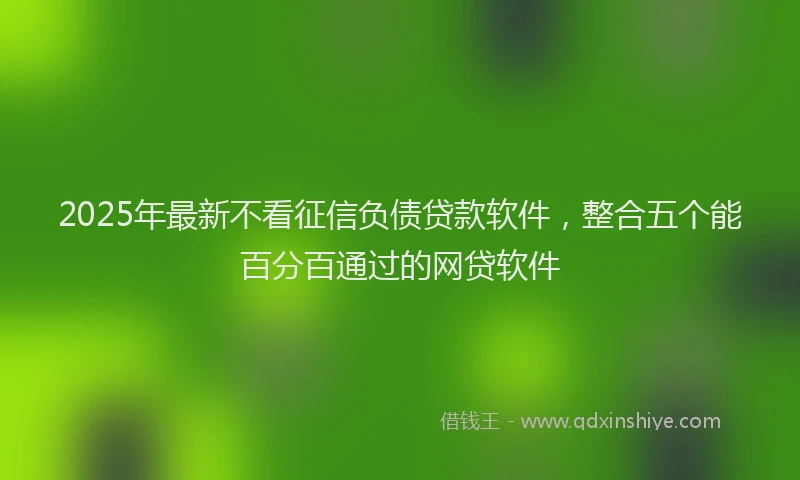 2025年最新不看征信负债贷款软件，整合五个能百分百通过的网贷软件
