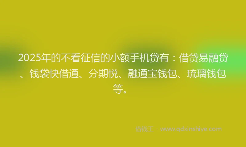 2025年的不看征信的小额手机贷有：借贷易融贷、钱袋快借通、分期悦、融通宝钱包、琉璃钱包等。