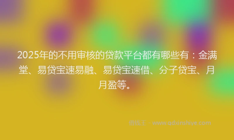 2025年的不用审核的贷款平台都有哪些有：金满堂、易贷宝速易融、易贷宝速借、分子贷宝、月月盈等。
