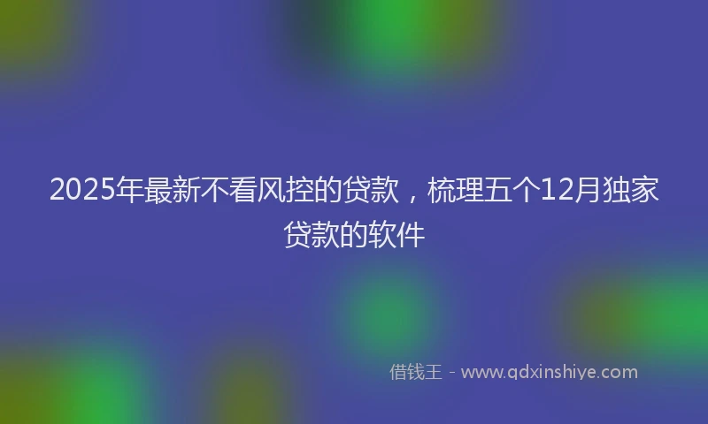 2025年最新不看风控的贷款，梳理五个12月独家贷款的软件