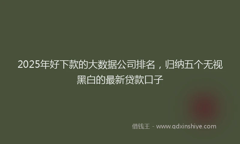 2025年好下款的大数据公司排名，归纳五个无视黑白的最新贷款口子