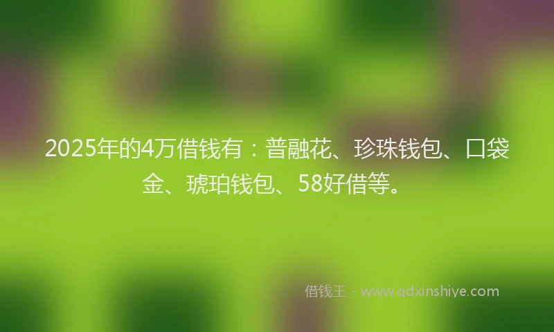 2025年的4万借钱有：普融花、珍珠钱包、口袋金、琥珀钱包、58好借等。