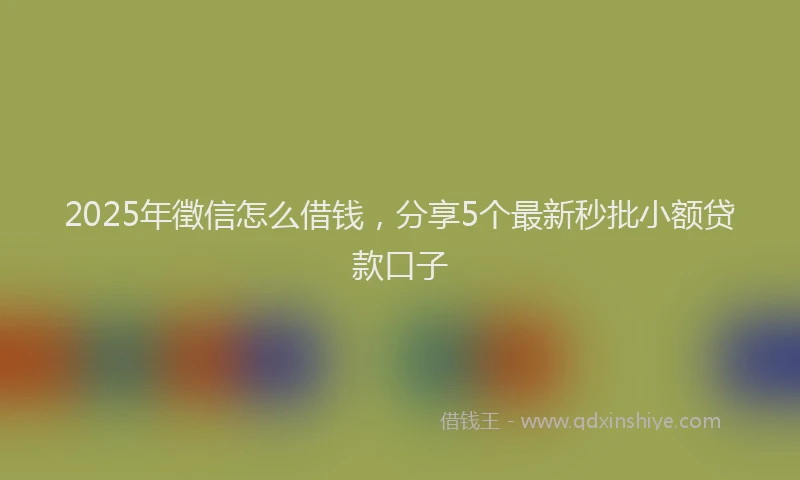 2025年徵信怎么借钱，分享5个最新秒批小额贷款口子