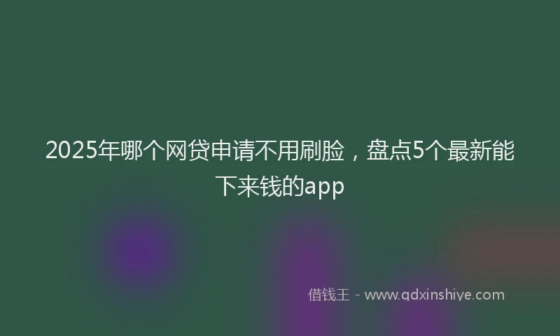 2025年哪个网贷申请不用刷脸，盘点5个最新能下来钱的app