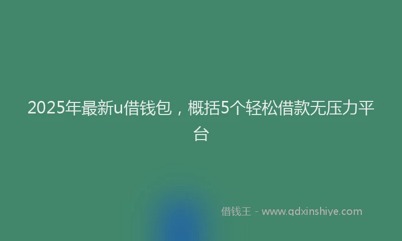 2025年最新u借钱包，概括5个轻松借款无压力平台