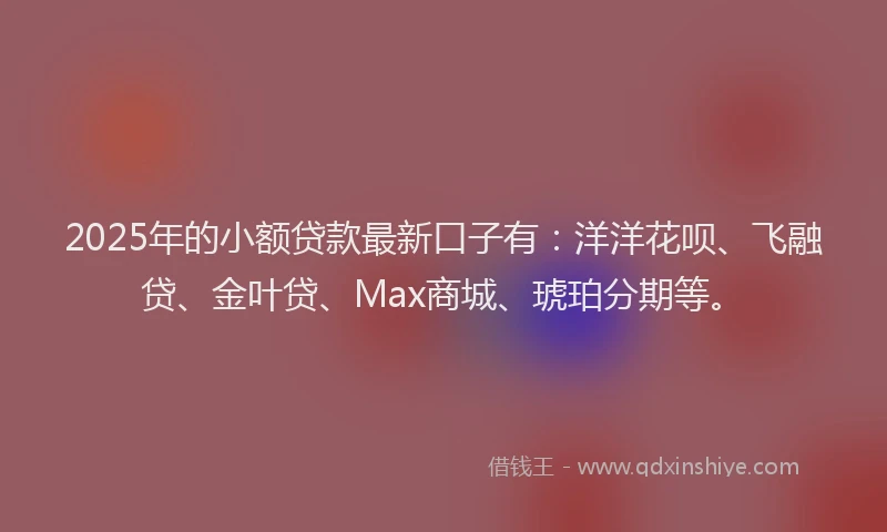 2025年的小额贷款最新口子有：洋洋花呗、飞融贷、金叶贷、Max商城、琥珀分期等。