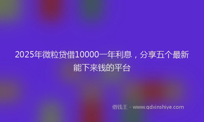 2025年微粒贷借10000一年利息，分享五个最新能下来钱的平台