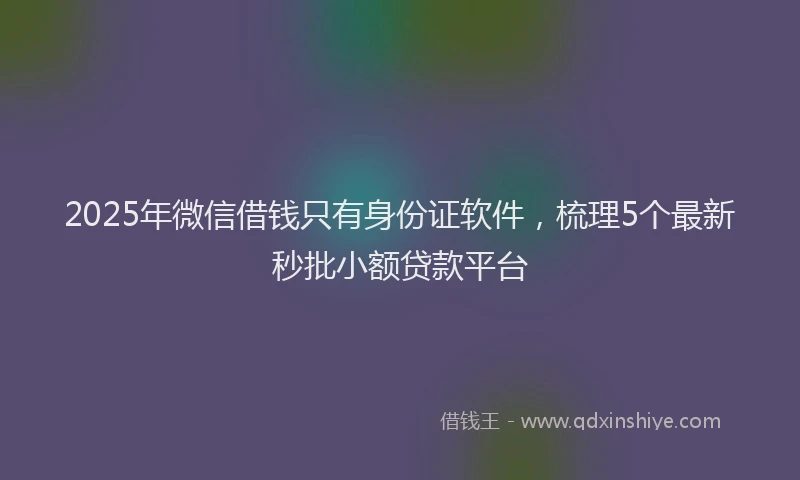 2025年微信借钱只有身份证软件，梳理5个最新秒批小额贷款平台