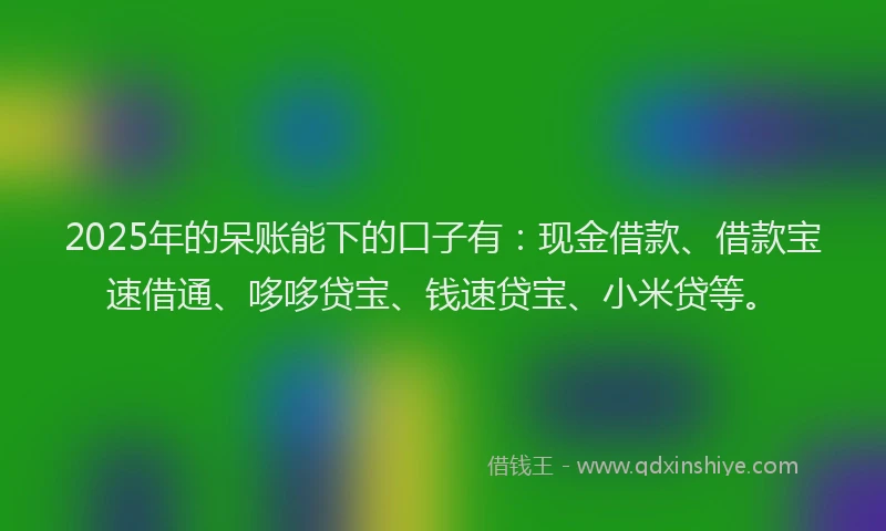 2025年的呆账能下的口子有：现金借款、借款宝速借通、哆哆贷宝、钱速贷宝、小米贷等。
