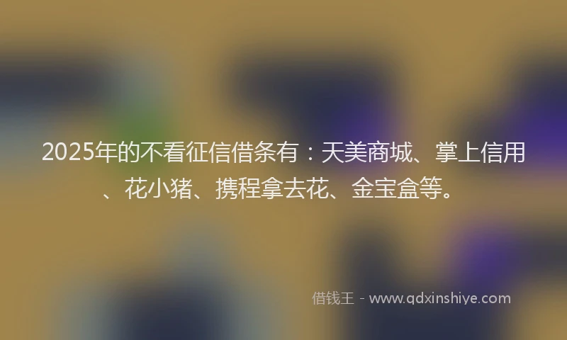 2025年的不看征信借条有：天美商城、掌上信用、花小猪、携程拿去花、金宝盒等。