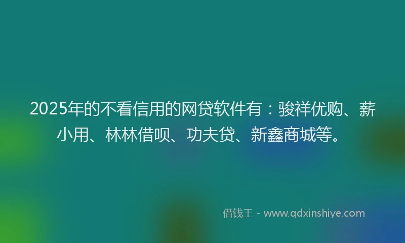 2025年的不看信用的网贷软件有：骏祥优购、薪小用、林林借呗、功夫贷、新鑫商城等。