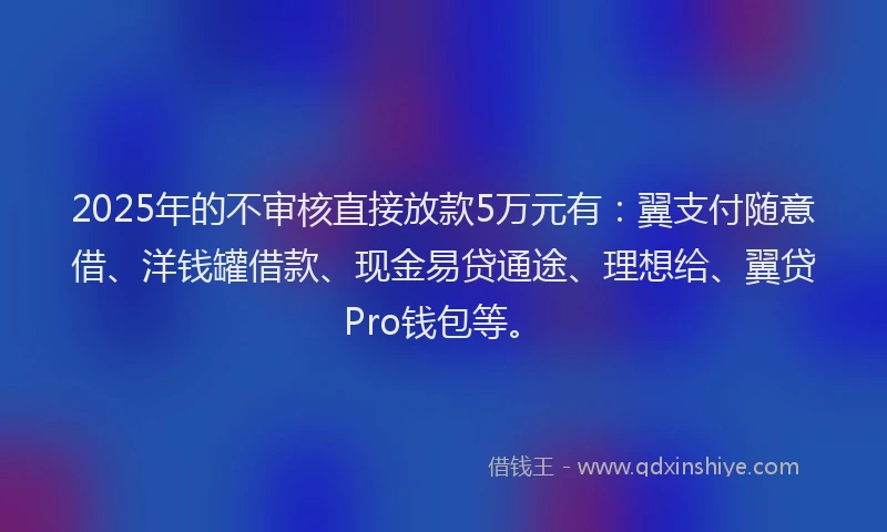 2025年的不审核直接放款5万元有：翼支付随意借、洋钱罐借款、现金易贷通途、理想给、翼贷Pro钱包等。