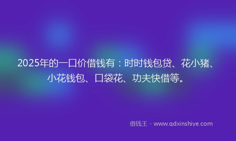 2025年的一口价借钱有：时时钱包贷、花小猪、小花钱包、口袋花、功夫快借等。