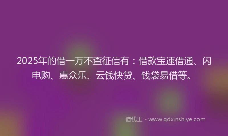 2025年的借一万不查征信有：借款宝速借通、闪电购、惠众乐、云钱快贷、钱袋易借等。