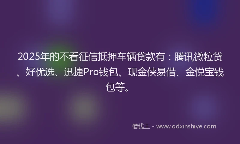 2025年的不看征信抵押车辆贷款有：腾讯微粒贷、好优选、迅捷Pro钱包、现金侠易借、金悦宝钱包等。