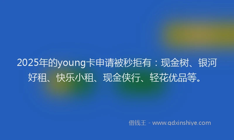 2025年的young卡申请被秒拒有：现金树、银河好租、快乐小租、现金侠行、轻花优品等。