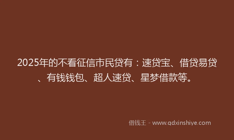 2025年的不看征信市民贷有：速贷宝、借贷易贷、有钱钱包、超人速贷、星梦借款等。