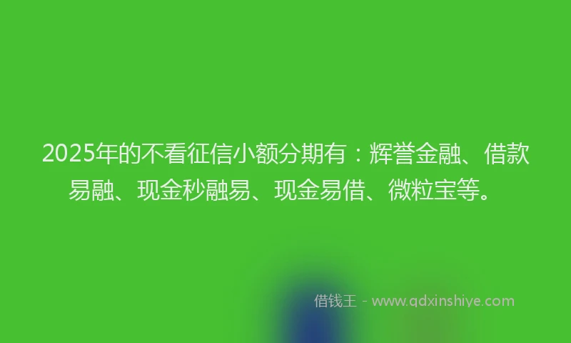 2025年的不看征信小额分期有：辉誉金融、借款易融、现金秒融易、现金易借、微粒宝等。