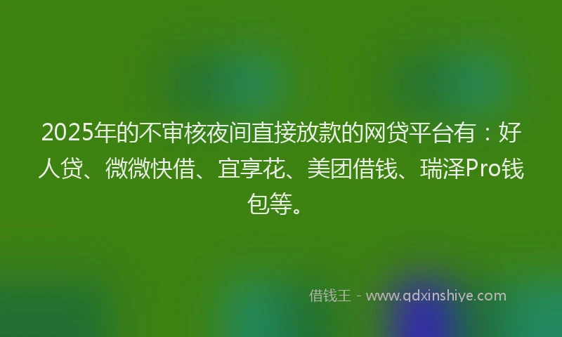 2025年的不审核夜间直接放款的网贷平台有：好人贷、微微快借、宜享花、美团借钱、瑞泽Pro钱包等。