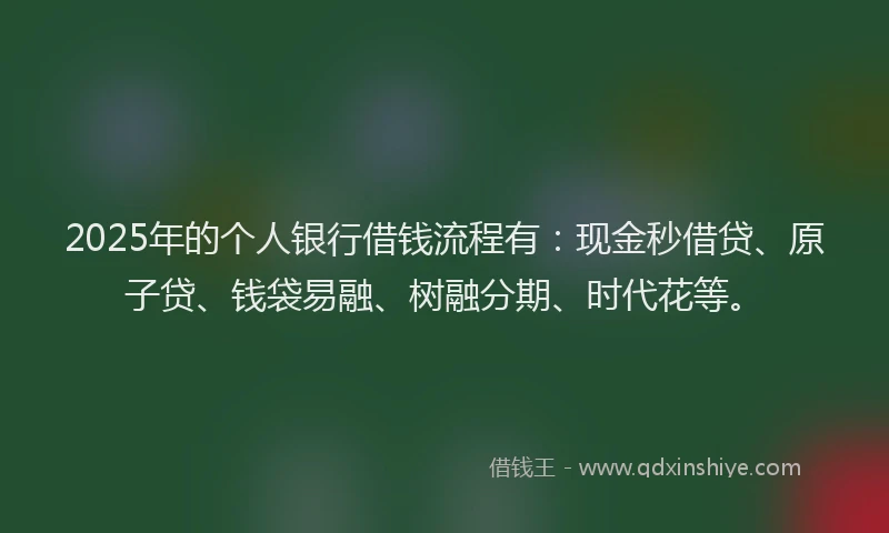 2025年的个人银行借钱流程有：现金秒借贷、原子贷、钱袋易融、树融分期、时代花等。