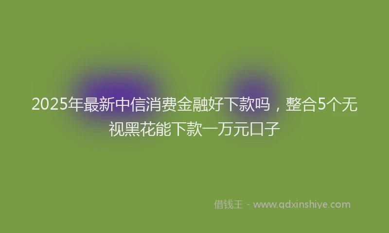 2025年最新中信消费金融好下款吗，整合5个无视黑花能下款一万元口子