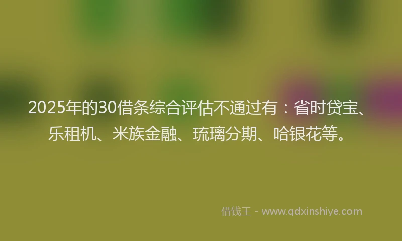 2025年的30借条综合评估不通过有：省时贷宝、乐租机、米族金融、琉璃分期、哈银花等。