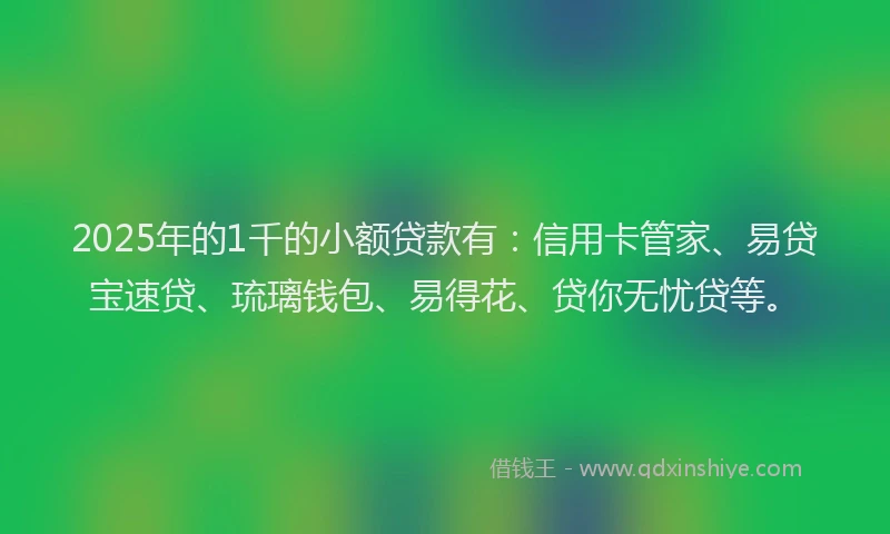 2025年的1千的小额贷款有：信用卡管家、易贷宝速贷、琉璃钱包、易得花、贷你无忧贷等。