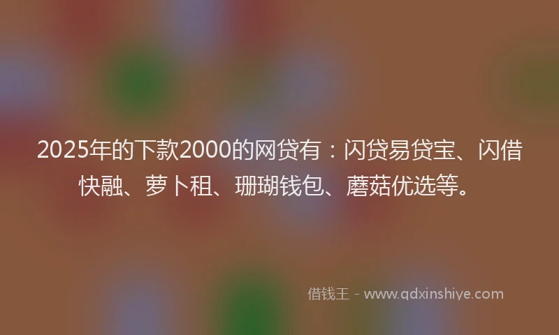 2025年的下款2000的网贷有：闪贷易贷宝、闪借快融、萝卜租、珊瑚钱包、蘑菇优选等。