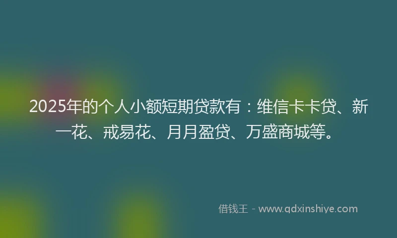 2025年的个人小额短期贷款有：维信卡卡贷、新一花、戒易花、月月盈贷、万盛商城等。