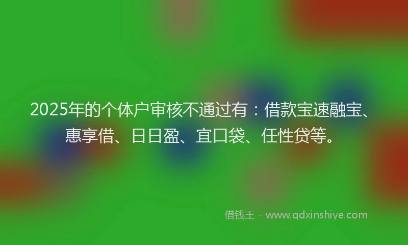 2025年的个体户审核不通过有：借款宝速融宝、惠享借、日日盈、宜口袋、任性贷等。