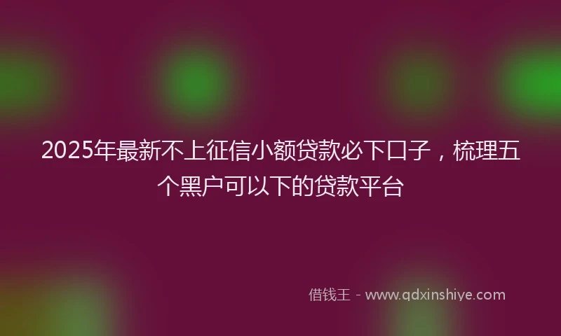 2025年最新不上征信小额贷款必下口子，梳理五个黑户可以下的贷款平台