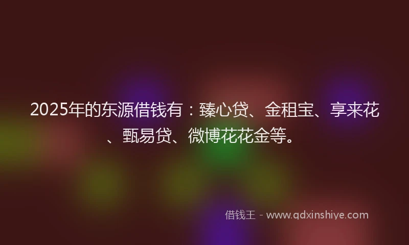 2025年的东源借钱有：臻心贷、金租宝、享来花、甄易贷、微博花花金等。