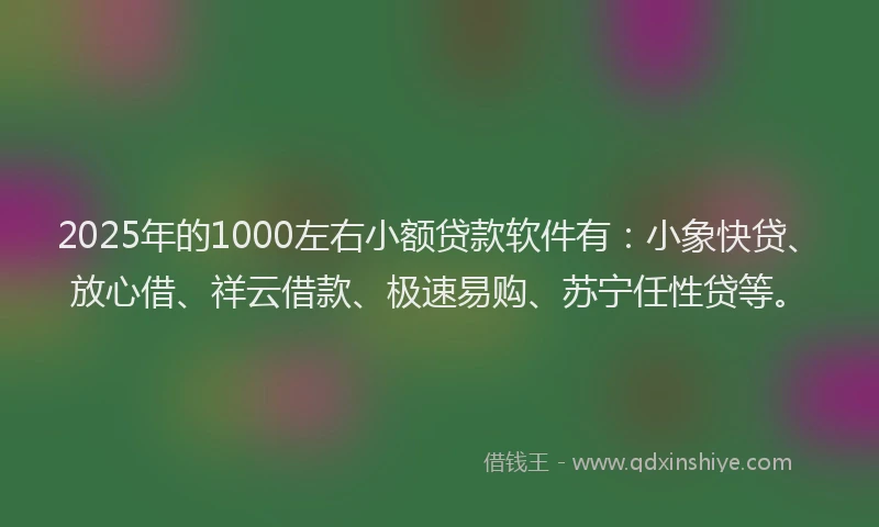 2025年的1000左右小额贷款软件有：小象快贷、放心借、祥云借款、极速易购、苏宁任性贷等。