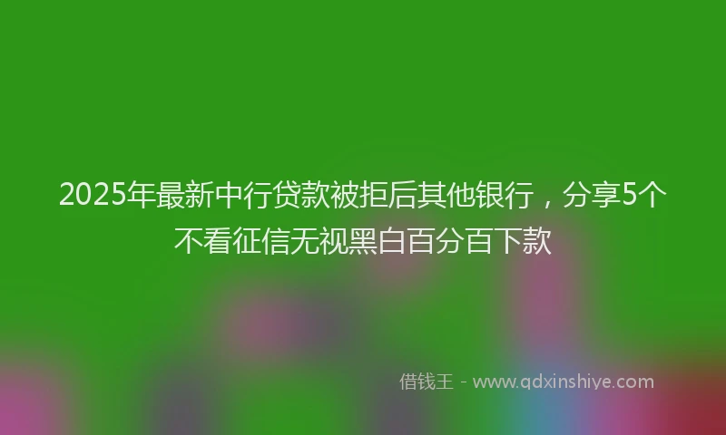 2025年最新中行贷款被拒后其他银行，分享5个不看征信无视黑白百分百下款