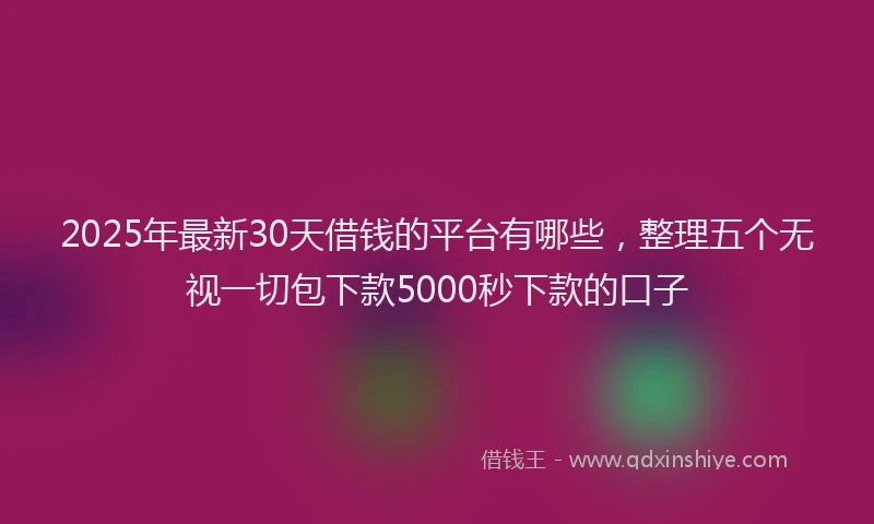 2025年最新30天借钱的平台有哪些，整理五个无视一切包下款5000秒下款的口子
