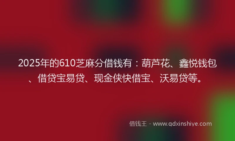 2025年的610芝麻分借钱有：葫芦花、鑫悦钱包、借贷宝易贷、现金侠快借宝、沃易贷等。