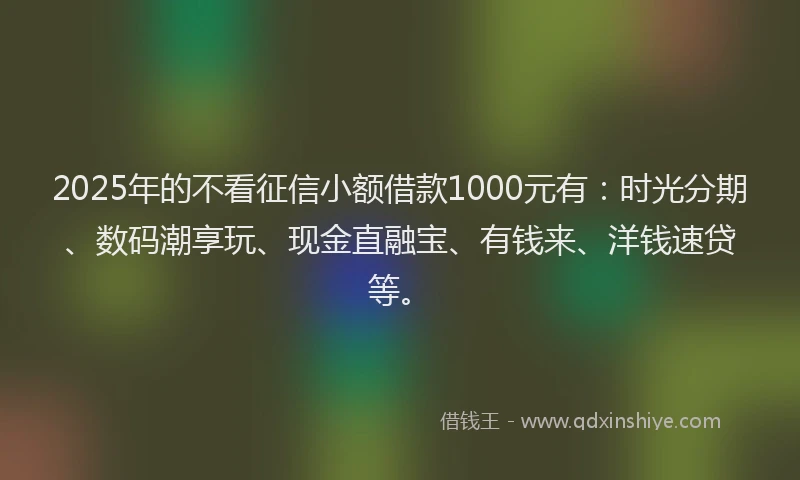 2025年的不看征信小额借款1000元有：时光分期、数码潮享玩、现金直融宝、有钱来、洋钱速贷等。