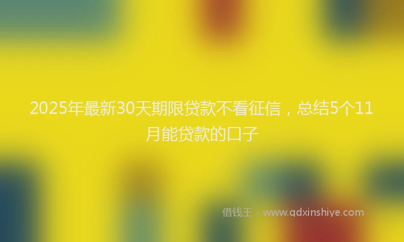 2025年最新30天期限贷款不看征信，总结5个11月能贷款的口子