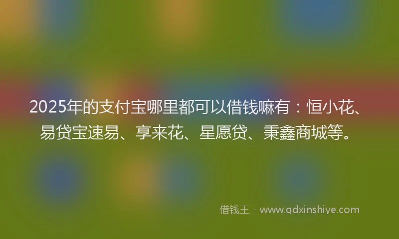 2025年的支付宝哪里都可以借钱嘛有：恒小花、易贷宝速易、享来花、星愿贷、秉鑫商城等。