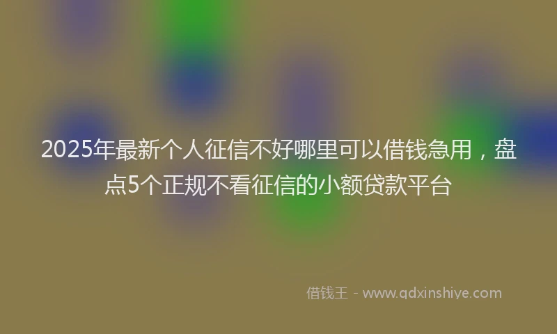 2025年最新个人征信不好哪里可以借钱急用，盘点5个正规不看征信的小额贷款平台