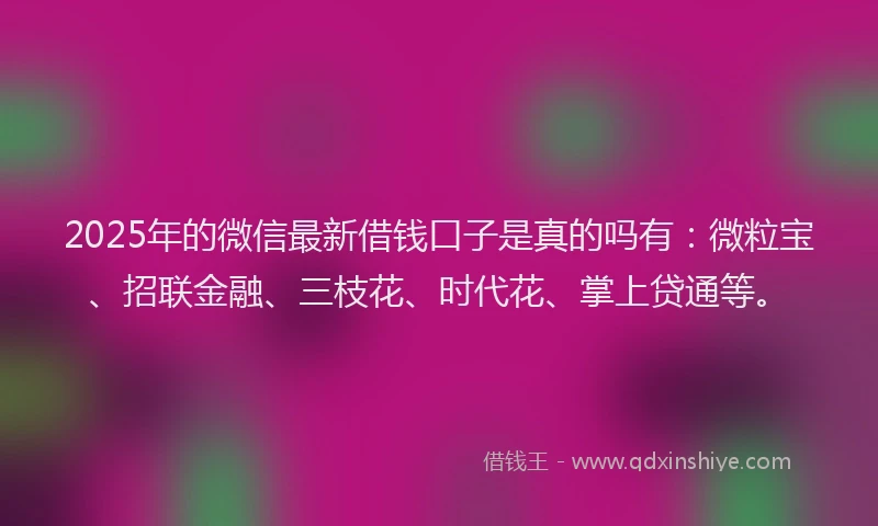 2025年的微信最新借钱口子是真的吗有：微粒宝、招联金融、三枝花、时代花、掌上贷通等。