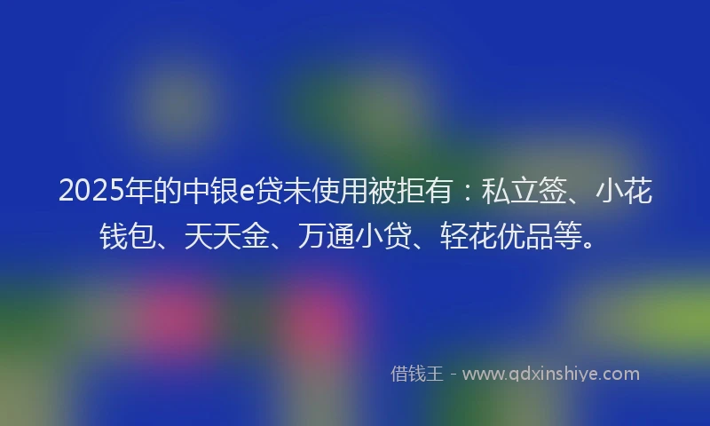 2025年的中银e贷未使用被拒有：私立签、小花钱包、天天金、万通小贷、轻花优品等。