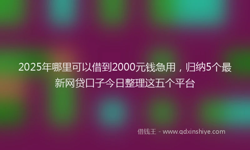 2025年哪里可以借到2000元钱急用，归纳5个最新网贷口子今日整理这五个平台