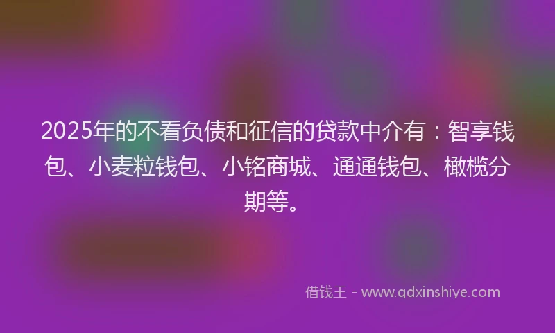 2025年的不看负债和征信的贷款中介有：智享钱包、小麦粒钱包、小铭商城、通通钱包、橄榄分期等。