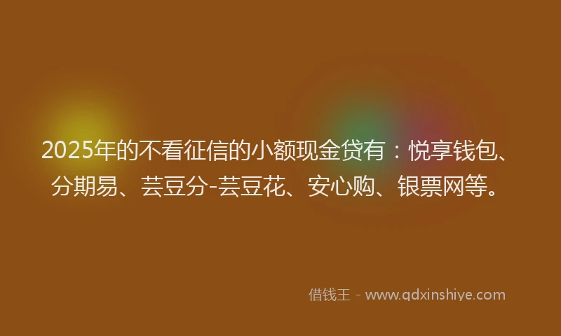 2025年的不看征信的小额现金贷有：悦享钱包、分期易、芸豆分-芸豆花、安心购、银票网等。